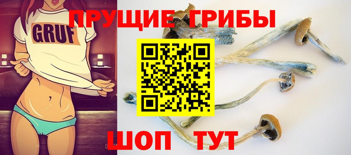 Псилоцибиновые грибы прущие грибы  Псилоцибиновые грибы Psilocybine cubensis  Реж  Вход с VPN 
